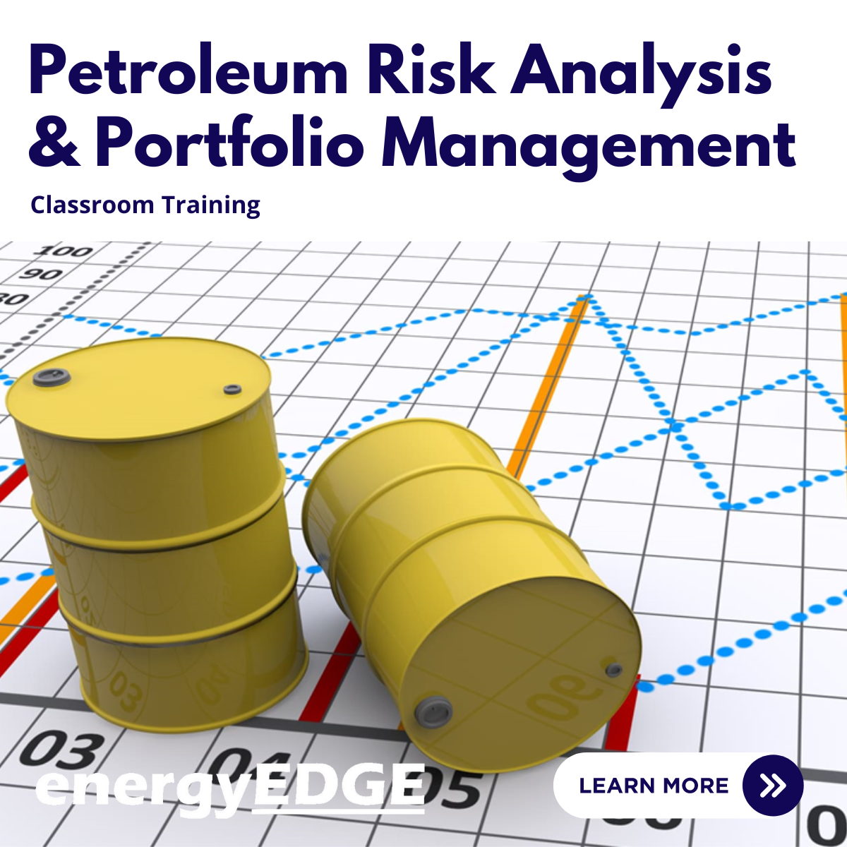 Petroleum Risk Analysis & Portfolio Management