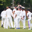 Weybridge Cricket Club logo