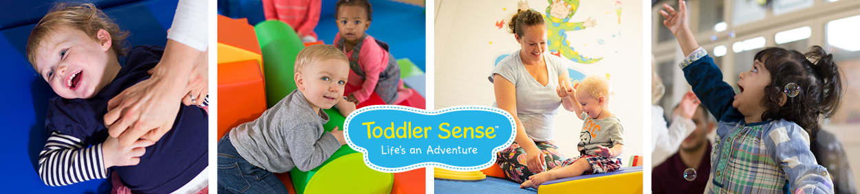 Toddler Sense Sheffield logo