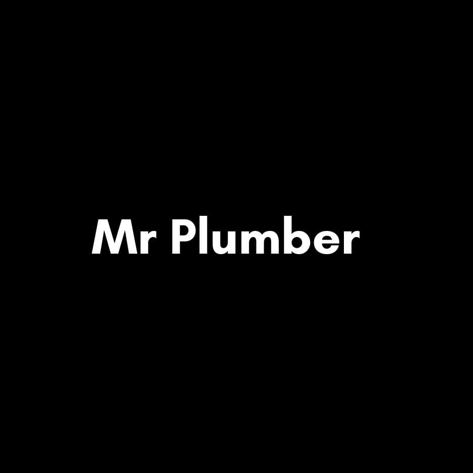 Mr Plumber