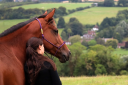 Pure Horsemanship - Louise Chacon logo