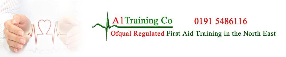 A1 First Aid Training Co logo