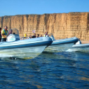 Lyme Bay Rib Charter logo