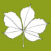 Urban Outdoors London logo