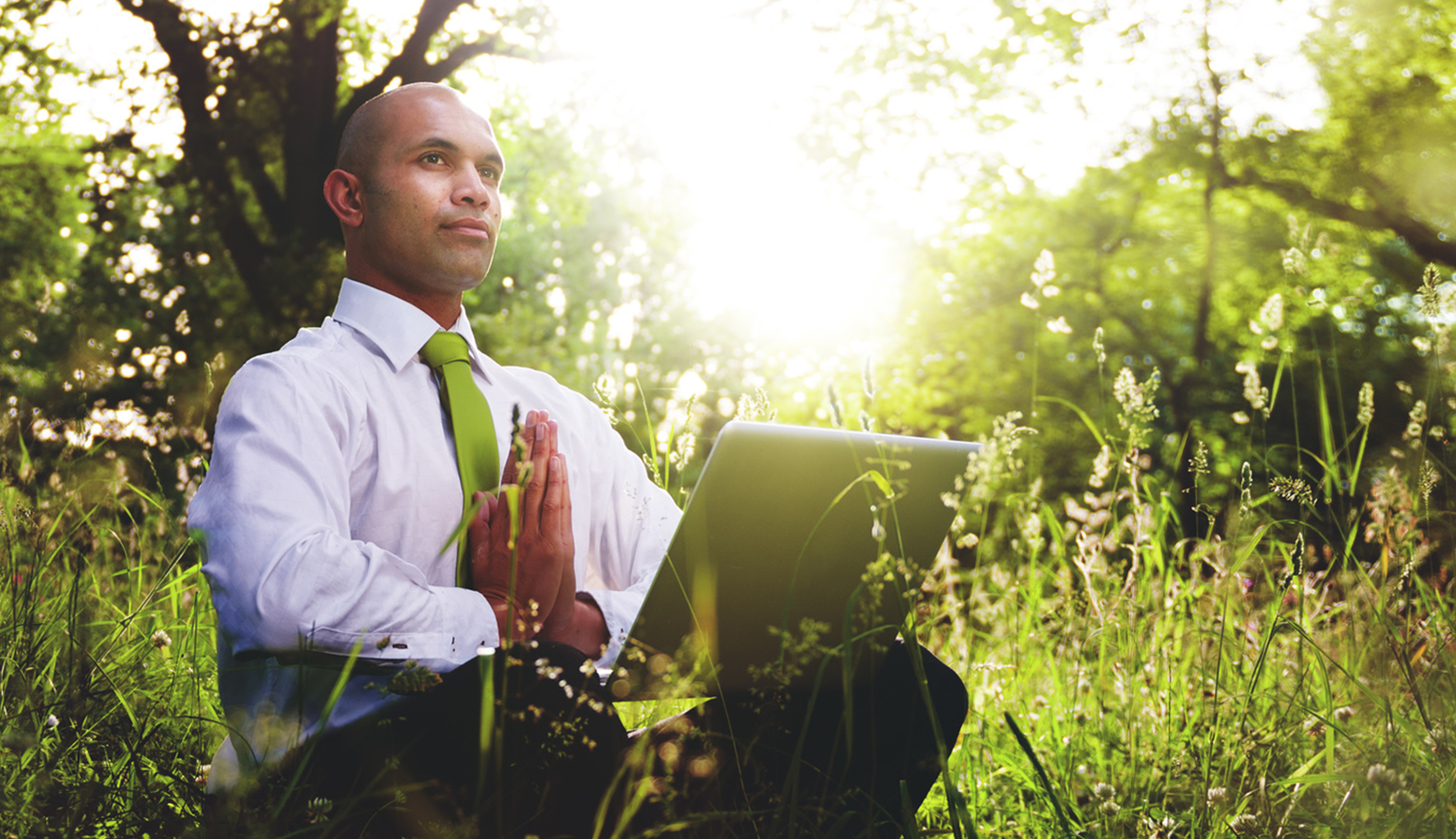 Transformative Mindfulness-Based Stress Reduction (MBSR) Course for Inner Calm and Stress Reduction