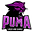 Puma Cheer & Dance logo