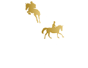 Bourne Vale Stables Ltd logo