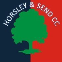 Horsley & Send Cricket Club logo