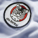 St Albans Karate logo