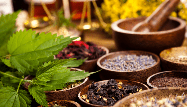 Diploma in Herbal Medicine Practice