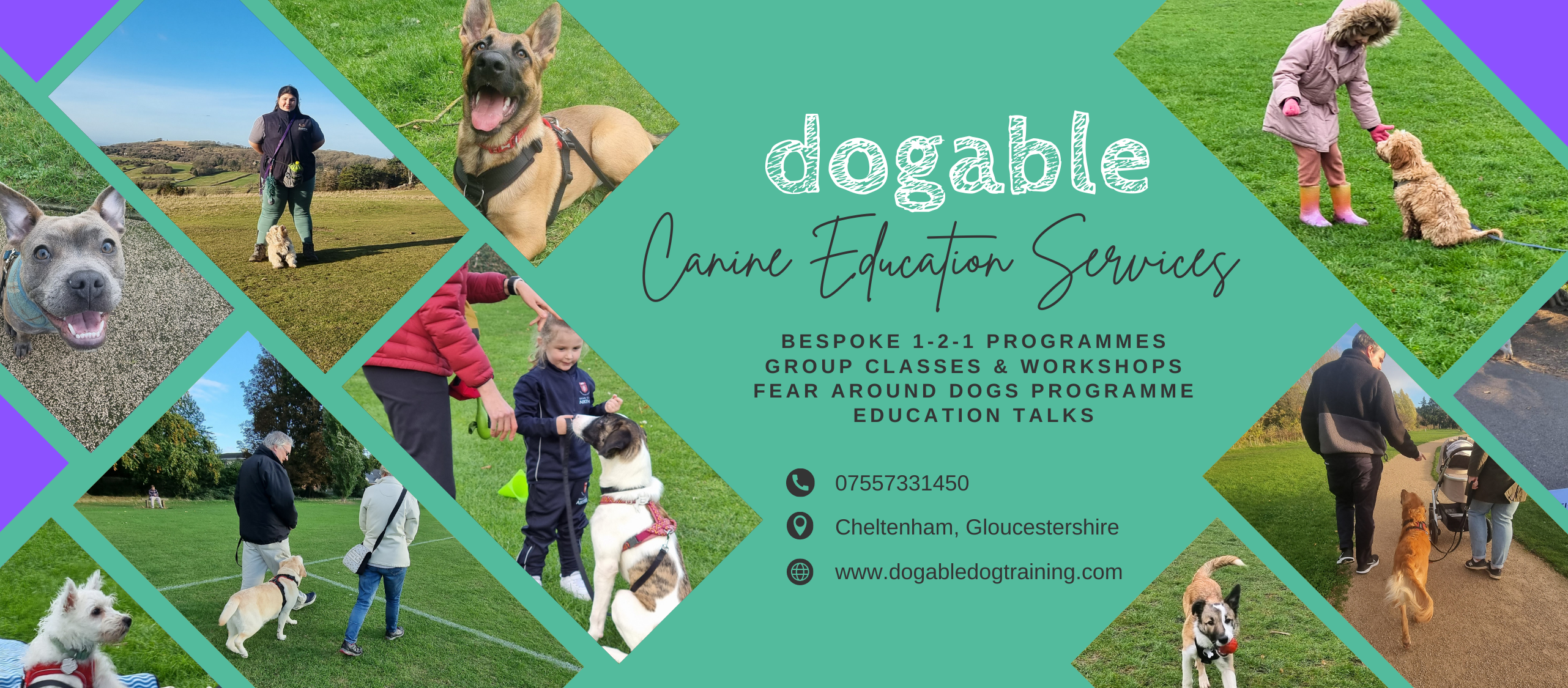 Dogable Dog Training