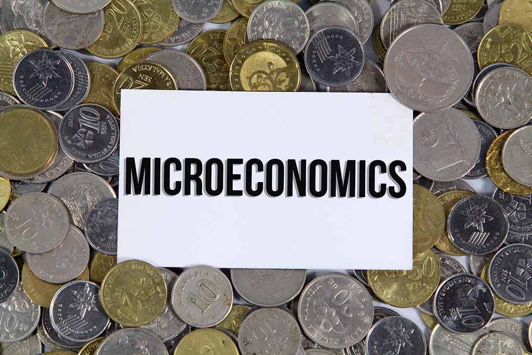 Level 3 Diploma in Microeconomics