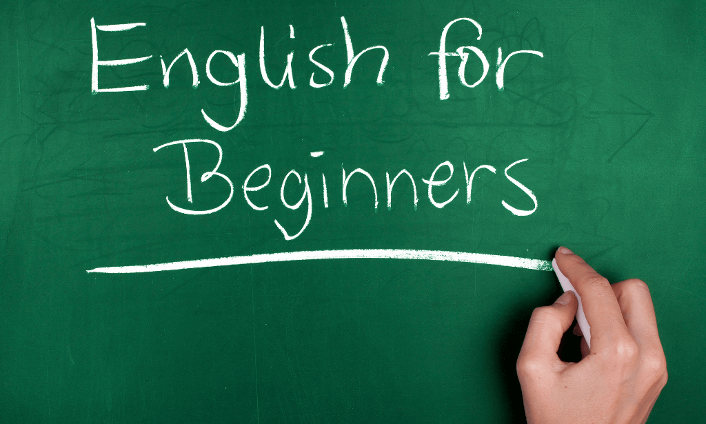 Basics of English for Beginners