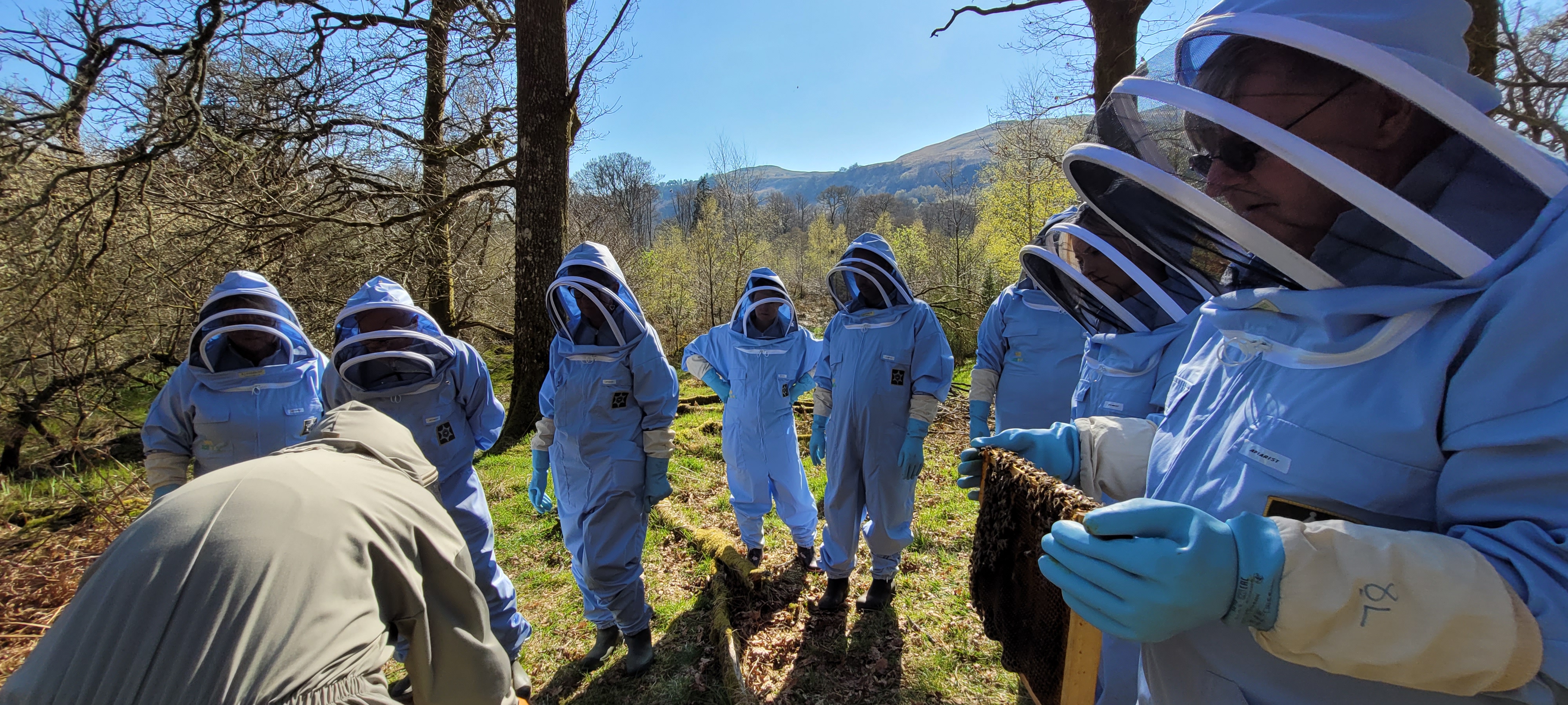 Weekend Bee School 