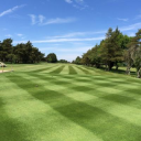 Lansdown Golf Club logo