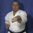 Shotokan Karate Online logo