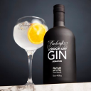 45 Gin School / Burleighs Gin Academy logo