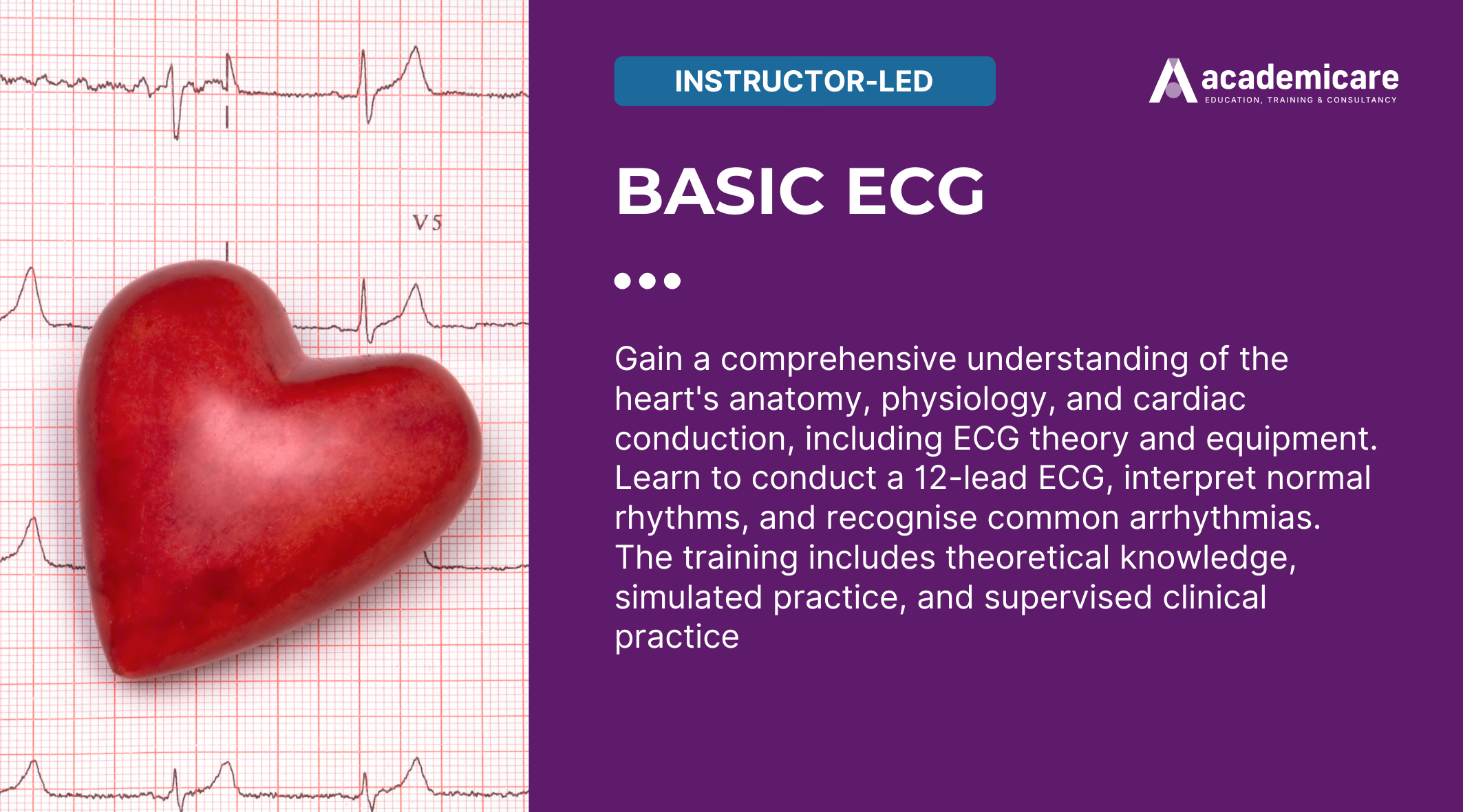 Basic ECG