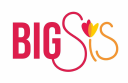 Big Sis logo