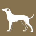Cartmel Valley Dog Grooming