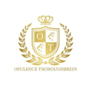 Opulence Thoroughbreds logo