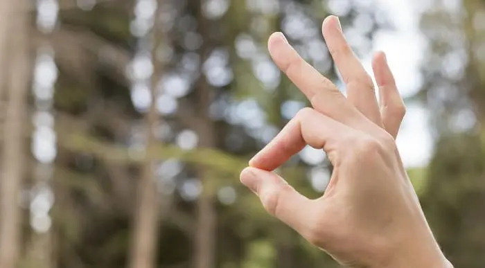 Level 1 Award in British Sign Language - Nationally Recognised Qualification