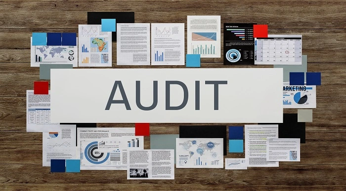 Auditing Skills