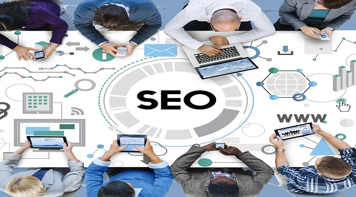 Search Engine Optimization Training