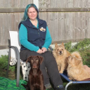 Dog Training For Essex & Suffolk Ltd logo