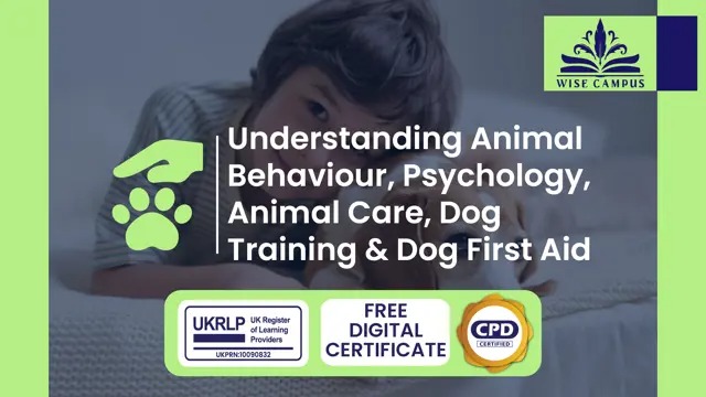 Understanding Animal Behaviour, Psychology, Animal Care, Dog training & Dog First Aid