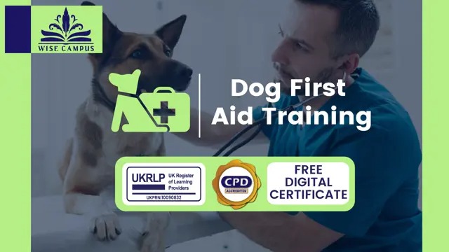 Dog First Aid Training - CPD Accredited