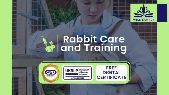 Rabbit Care and Training - CPD Certified