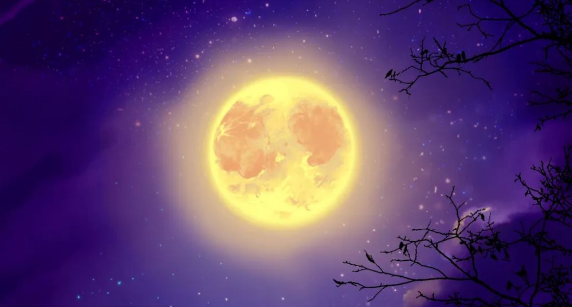 Soul Circle - 16th February, Full Moon in Leo, Honouring The Self with EFT