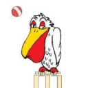 Great Missenden Pelicans Cricket Club logo