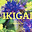 Ikigai Therapy logo