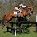 Poplar Park Equestrian Training Centre logo