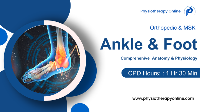 Comprehensive Therapeutic Guide to Ankle and Foot Anatomy