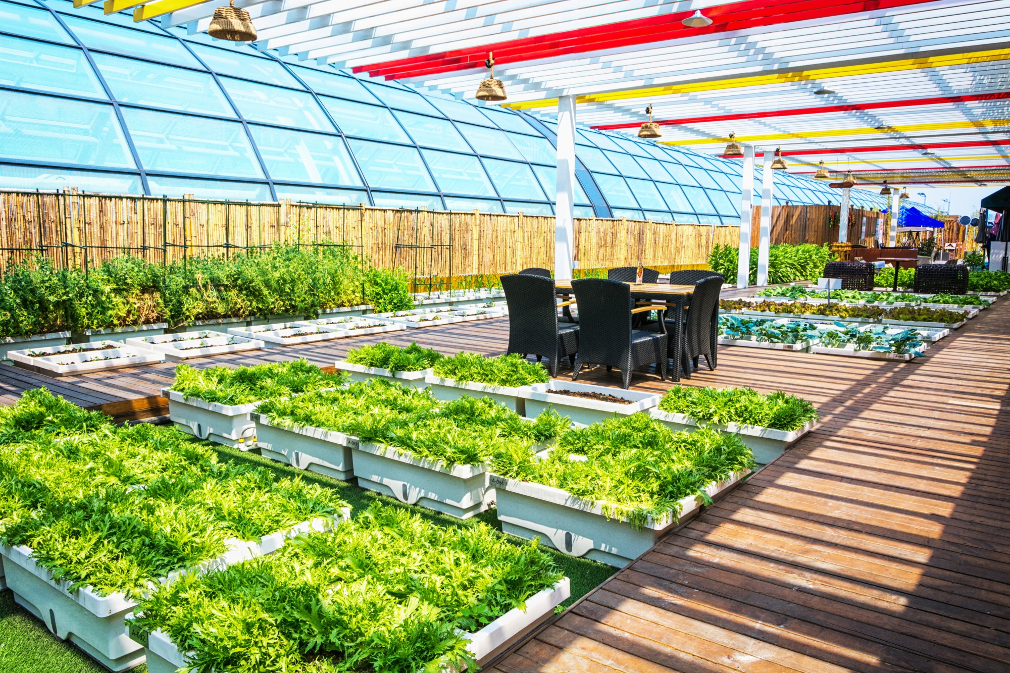 Hydroponics and Aquaponics Farming - Online Diploma