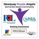 Newquay Purple Angels logo