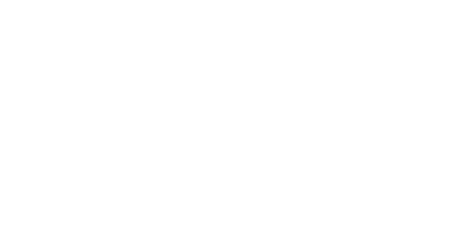 Ibex Driving School logo