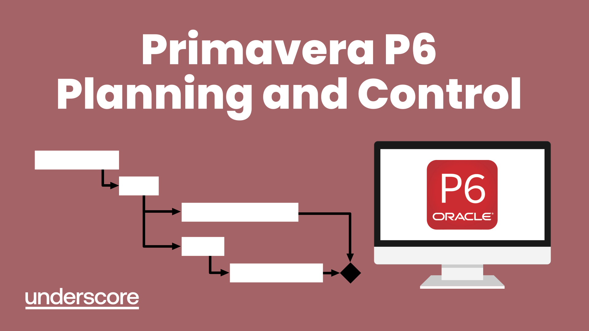 Primavera P6 Planning and Control