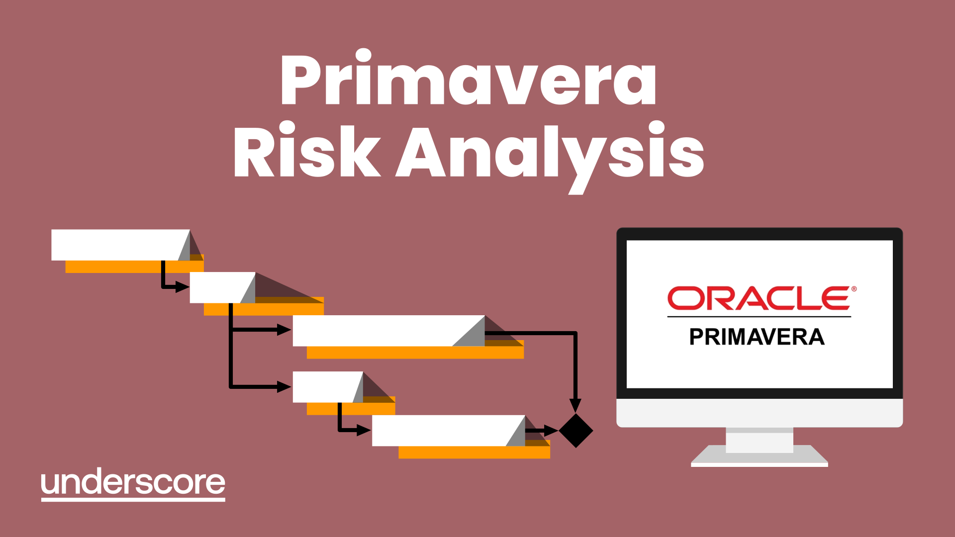 Primavera Risk Analysis