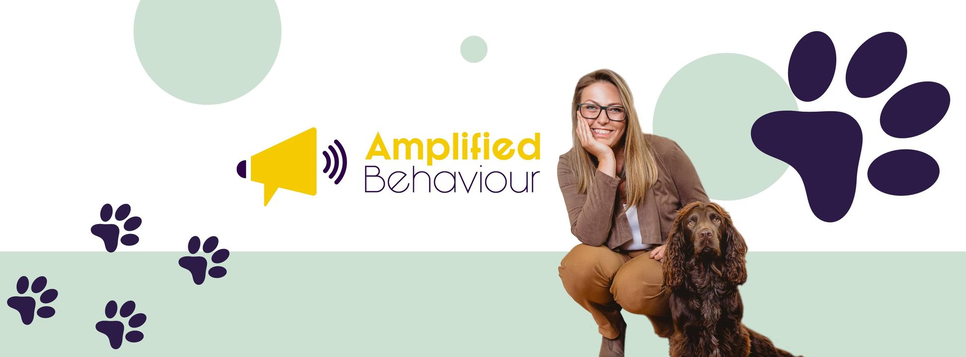 Amplified Behaviour