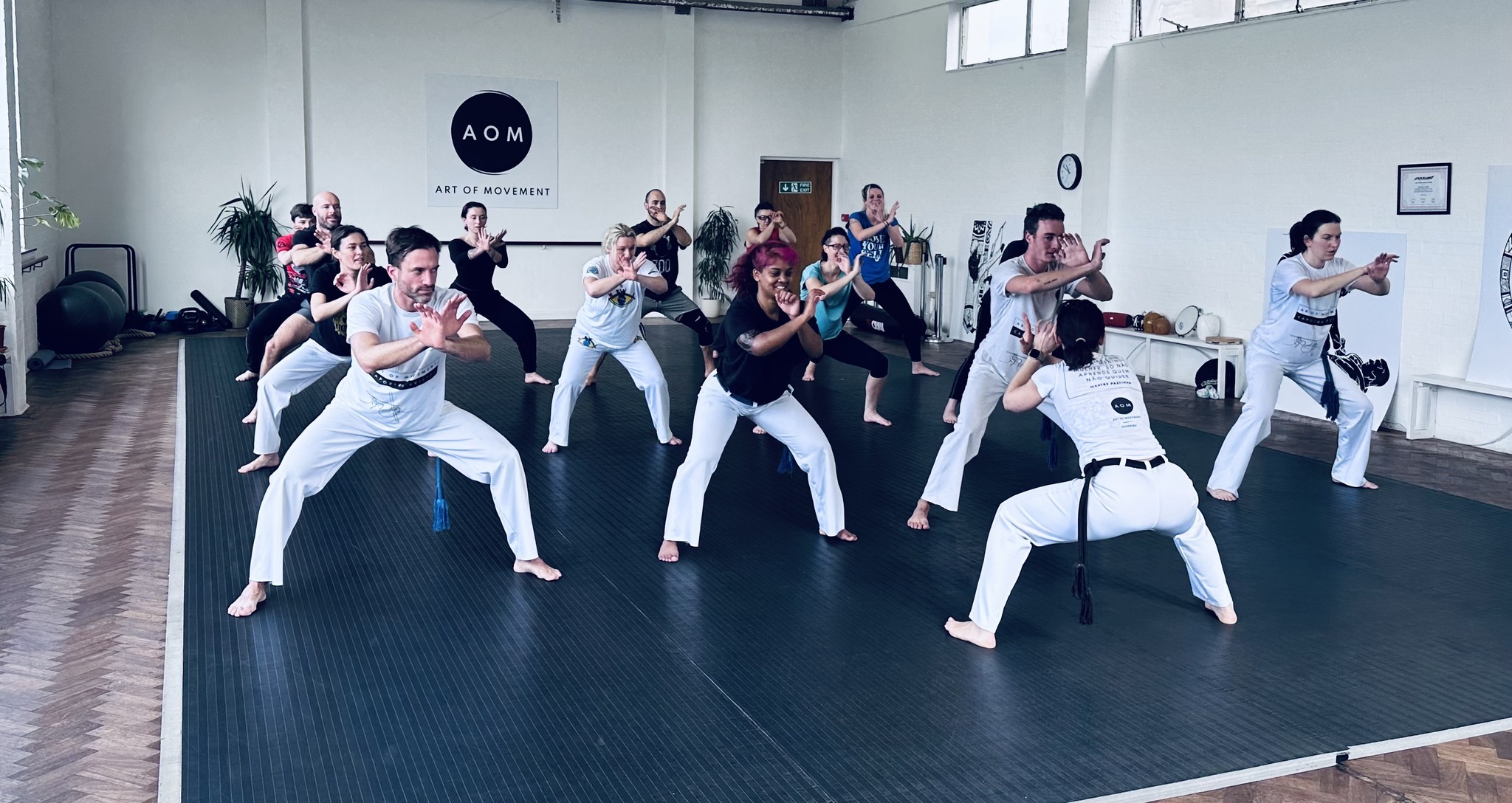 Capoeira classes (adults)