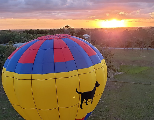 Air Hound Adventures (Hot Air Balloon Rides) logo