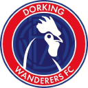 Dorking Wanderers Football Club logo