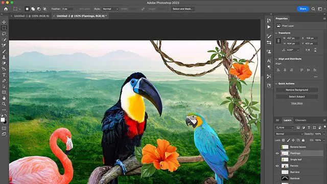 Photoshop one day training course bespoke 1-2-1