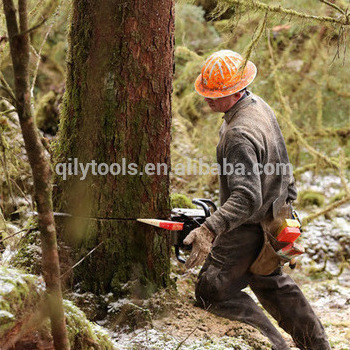 Emergency First Aid at Work + Forestry