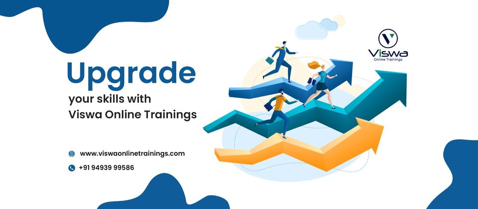 viswaonlinetrainings