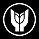 Yasar University logo